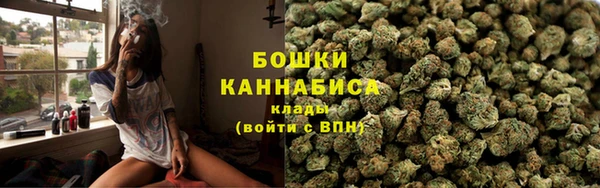 стаф Вязники